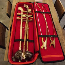 Biola Akustik dengan Hardcase